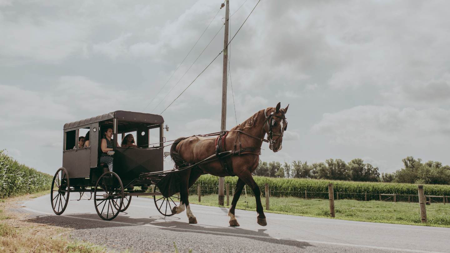 Amish Buggy Ride