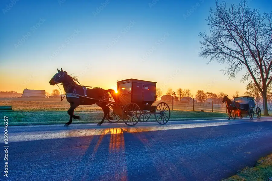 Amish Buggy in Lancaster County