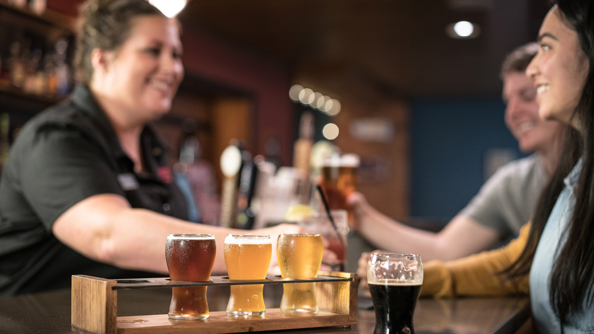 Beer flight and bar at Plain & Fancy Farm