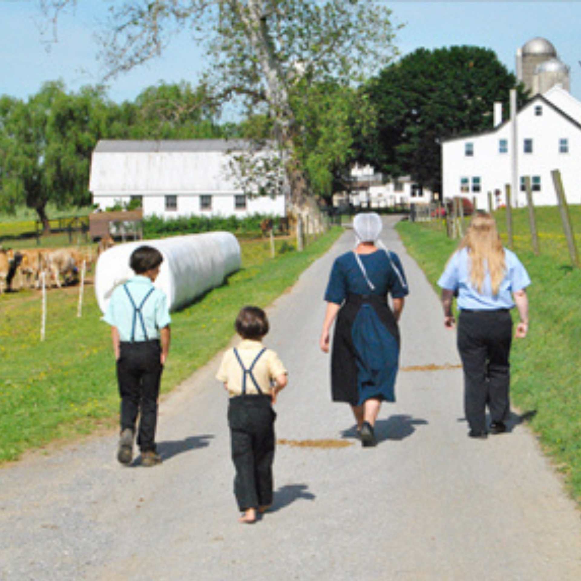Amish Farm Tour