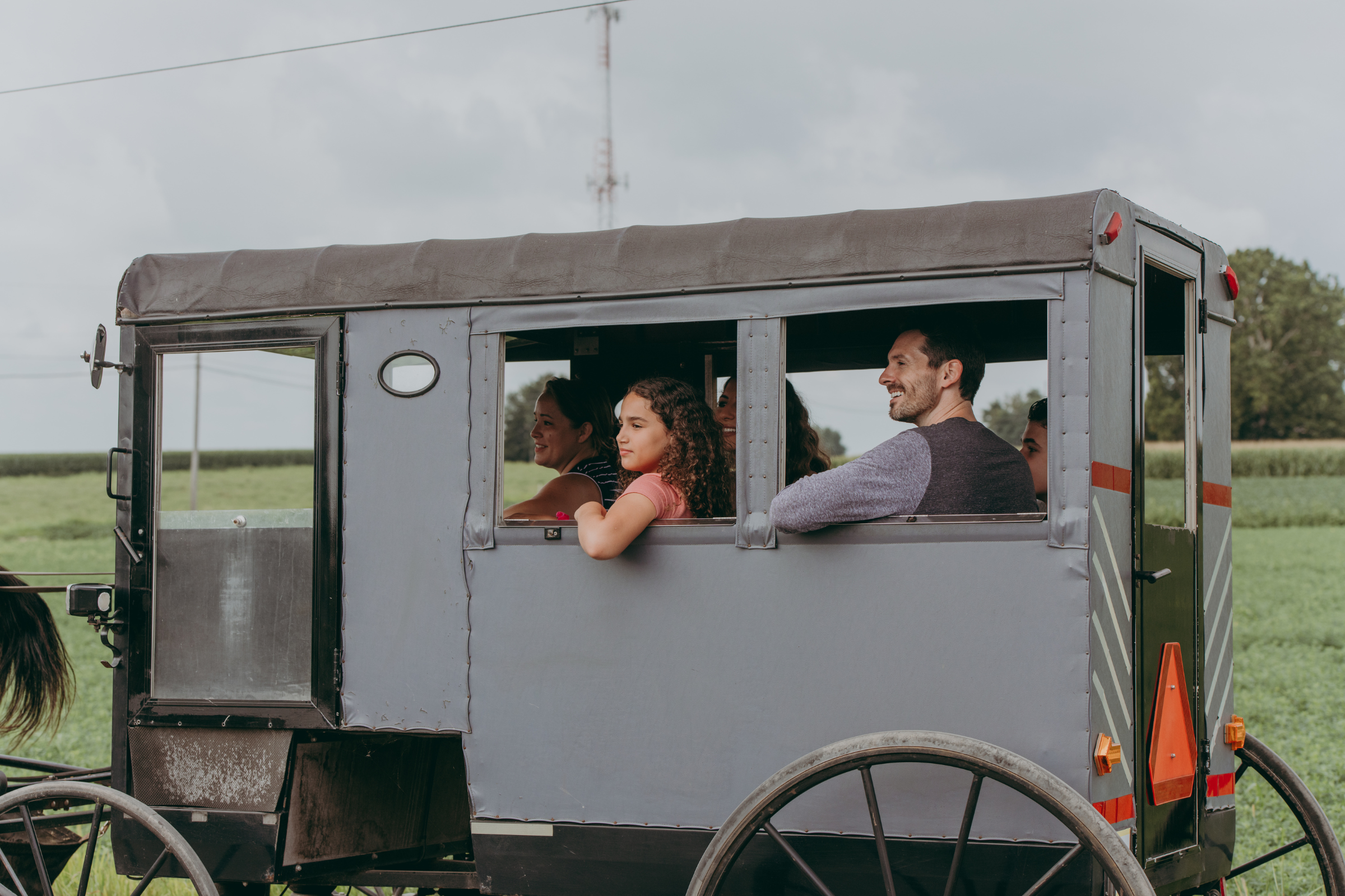 Buggy at Plain & Fancy Farm in Lancaster